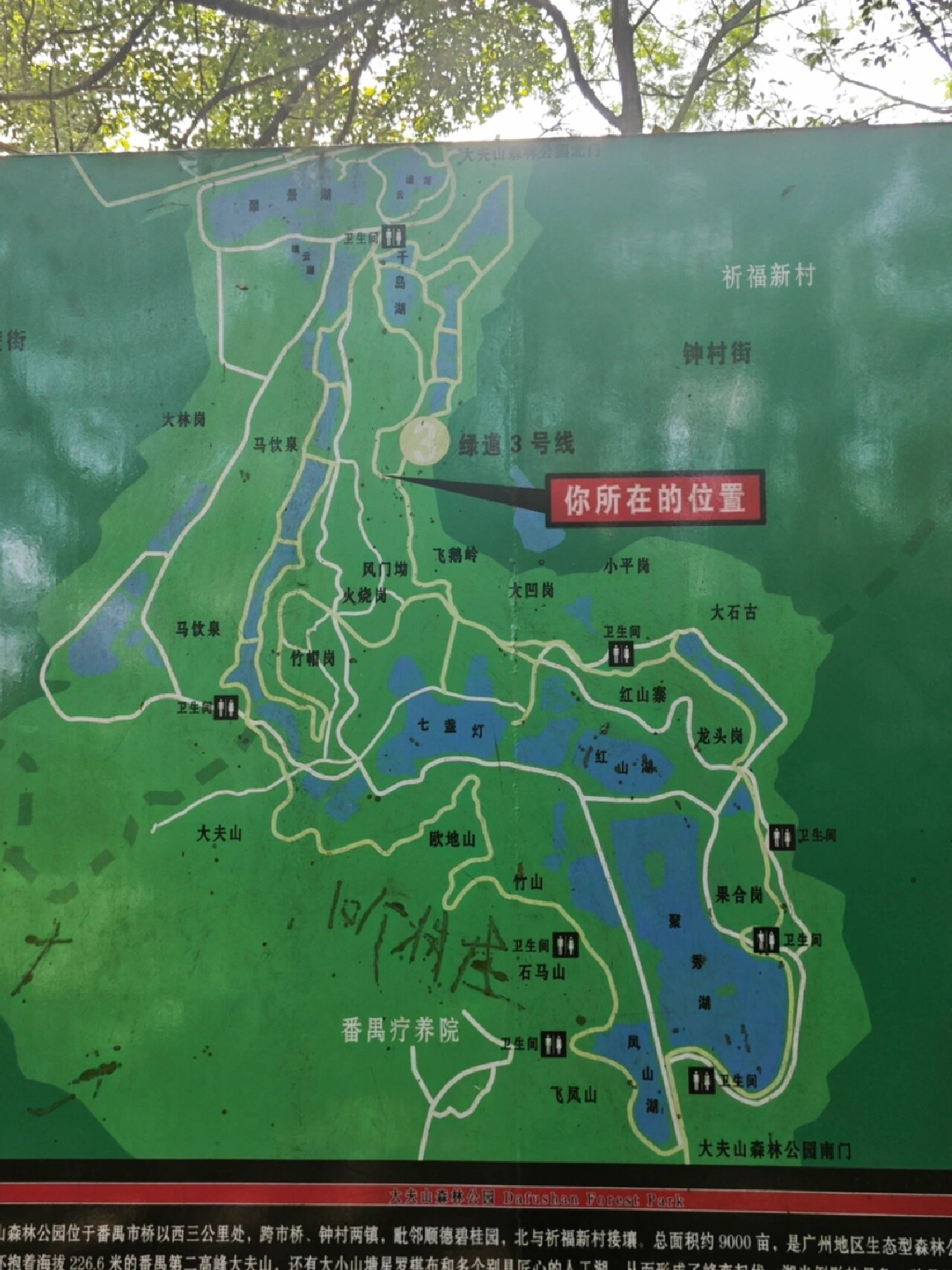 探索出全新的大夫山路线还有开发了拍照新机位 99大夫山森林公园