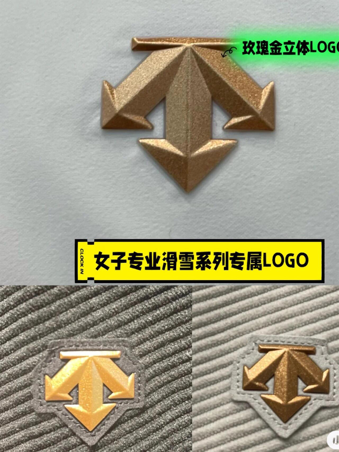 迪桑特标志图片