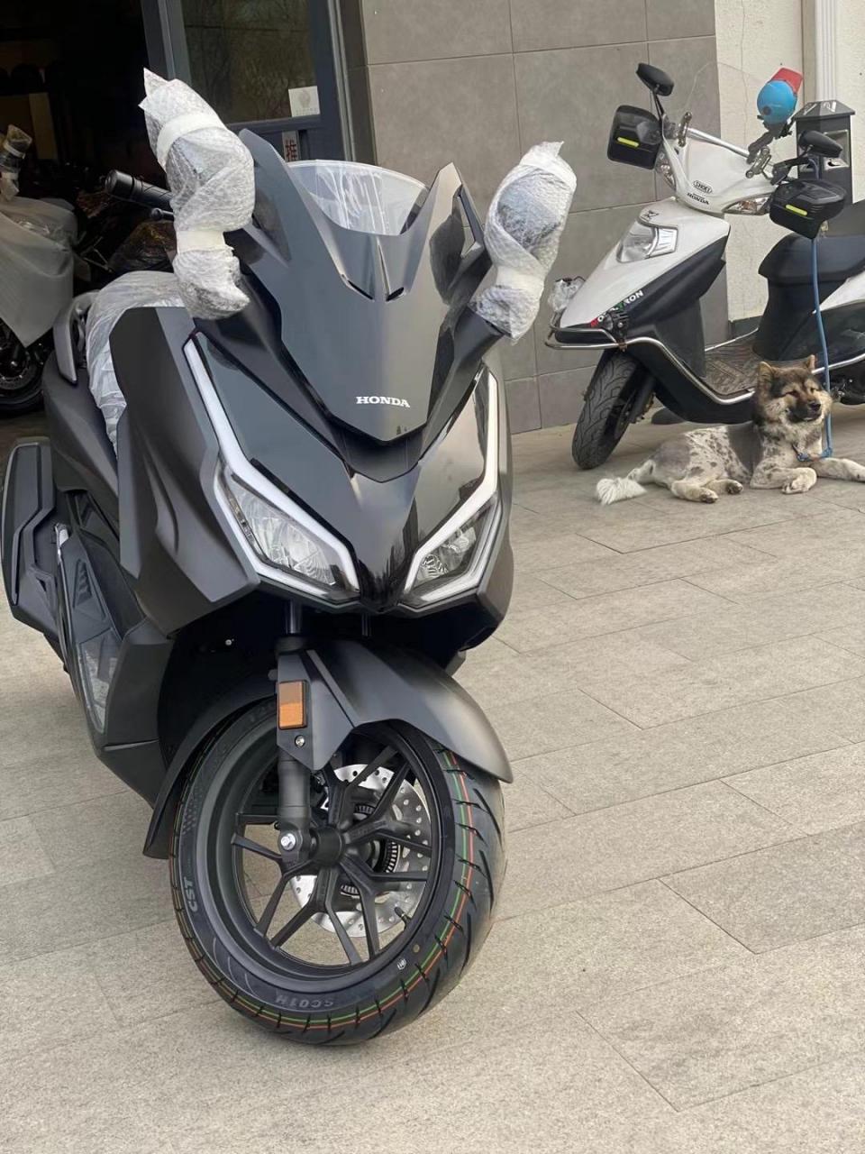 佛沙nss350,cm300,cl300,幼兽cc110,pcx160 nx400标准版 摩旅版.