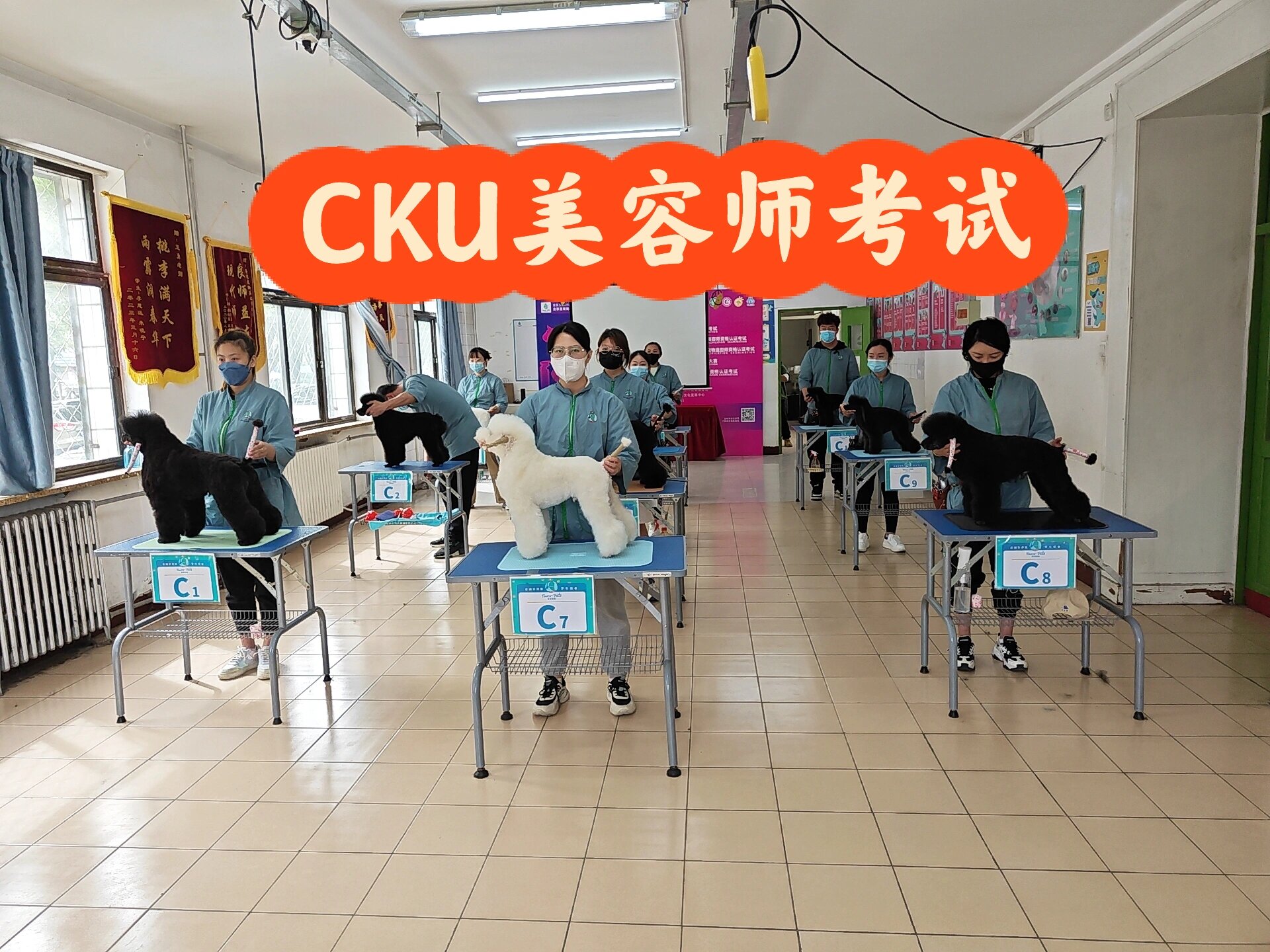 哈希娱乐- 哈希游戏平台- 哈希游戏官方网站湖北一孕妇称在烧烤店就餐时发现有宠物狗全程就蹲坐在菜架上当地市场监管部门：将安排工作人员进行现场核实之后决定是否进行立案