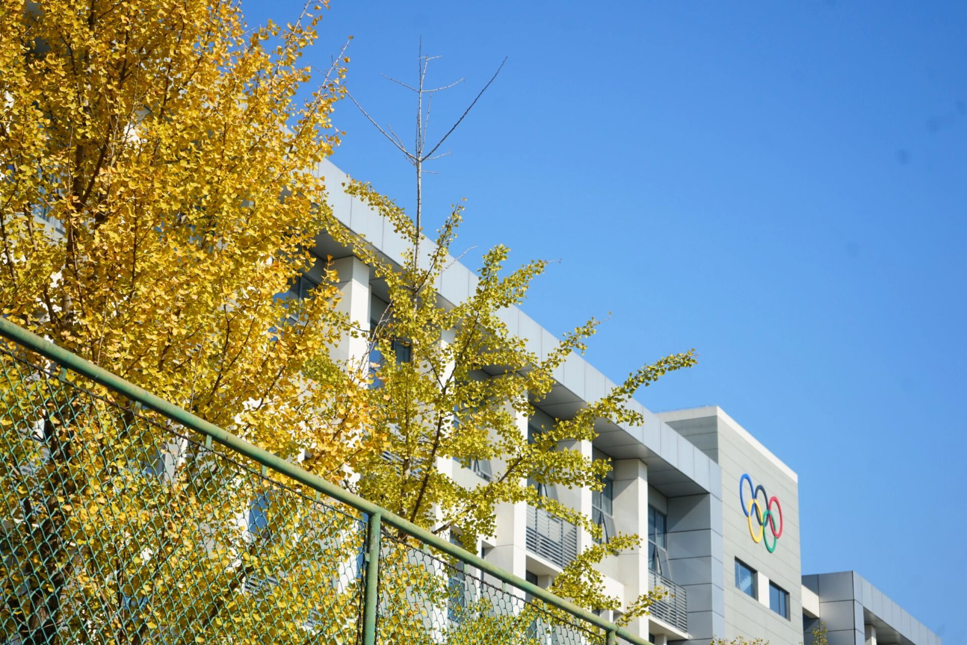 南京理工大学紫金学院    欢迎各位新生进入南京理工大学紫金学院这个