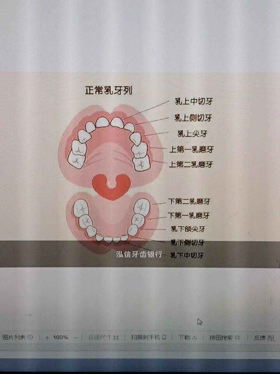 6岁孩子正常有多少颗牙? 刚才数了一下,下面12颗,上面10颗,一起22颗.