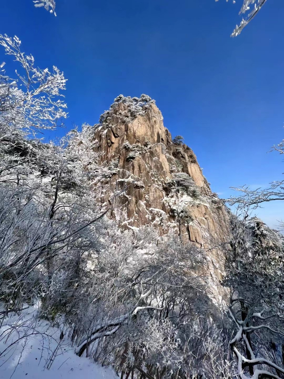 02最新黃山天氣預報77157615 【黃山風景區氣象】今天白天