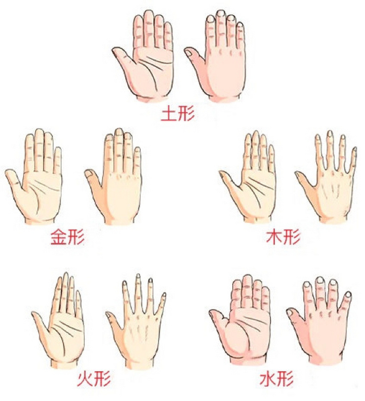 手型画图片五个手指头图片