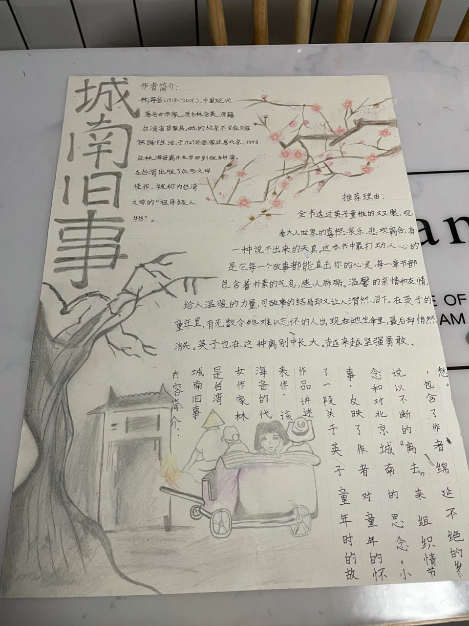 好书推荐《城南旧事》 三年级的小学生 画作临摹