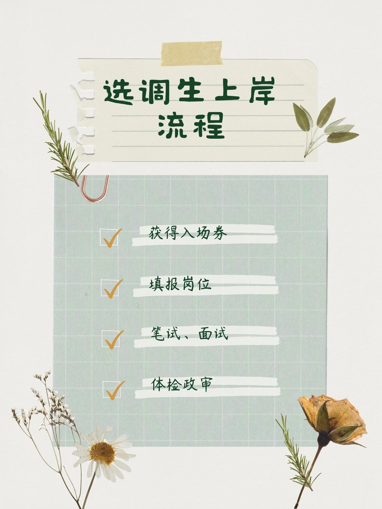 选调生上岸全流程整理 赶紧行动起来吧