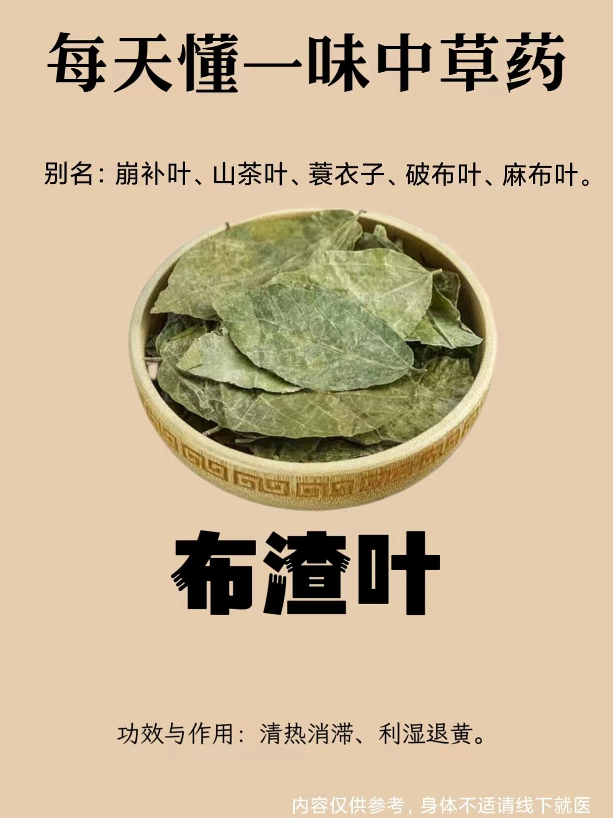 毎天懂一味中草药91布渣叶 中药名:布渣叶 别名:崩补叶,泡卜布,山