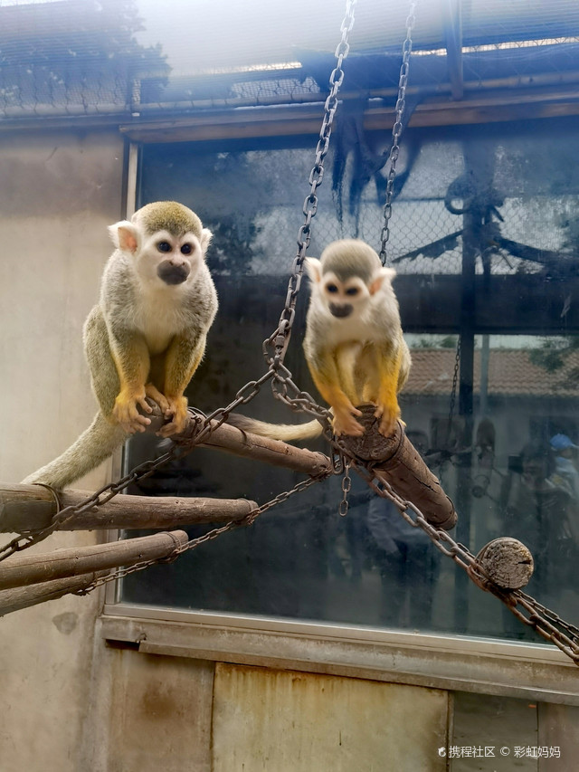 黄金河度假村