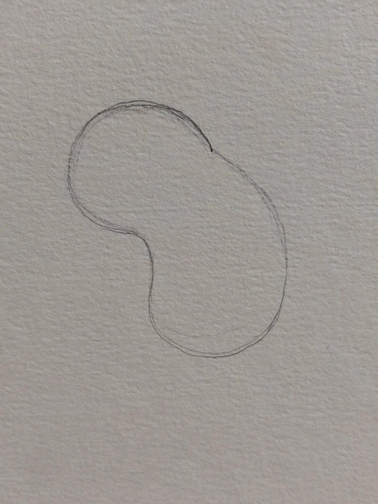 简笔画～闪电7315 疯狂动物城里最慢的那一个,一只可爱的树懒09