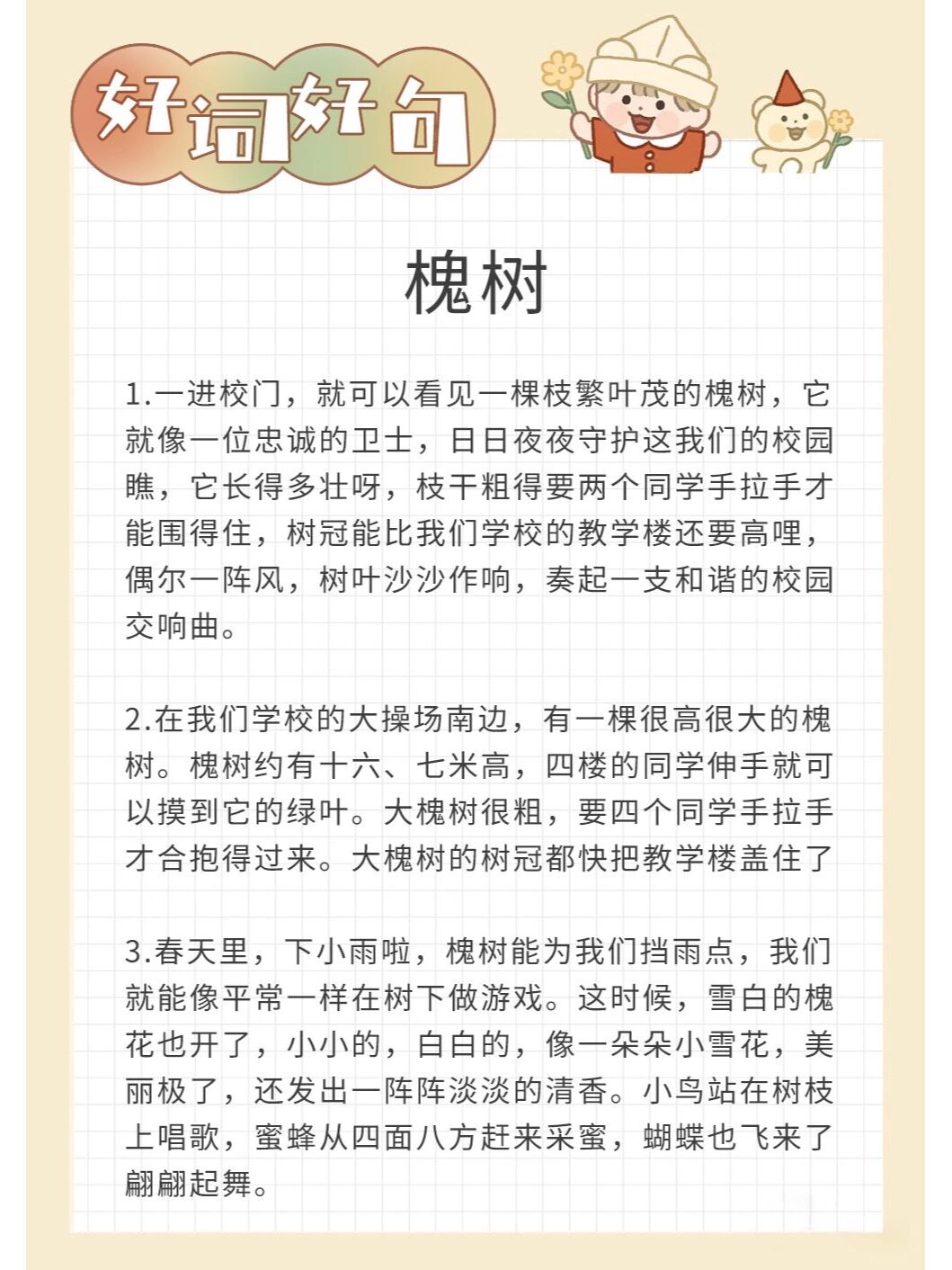 每日好词好句 描写槐树