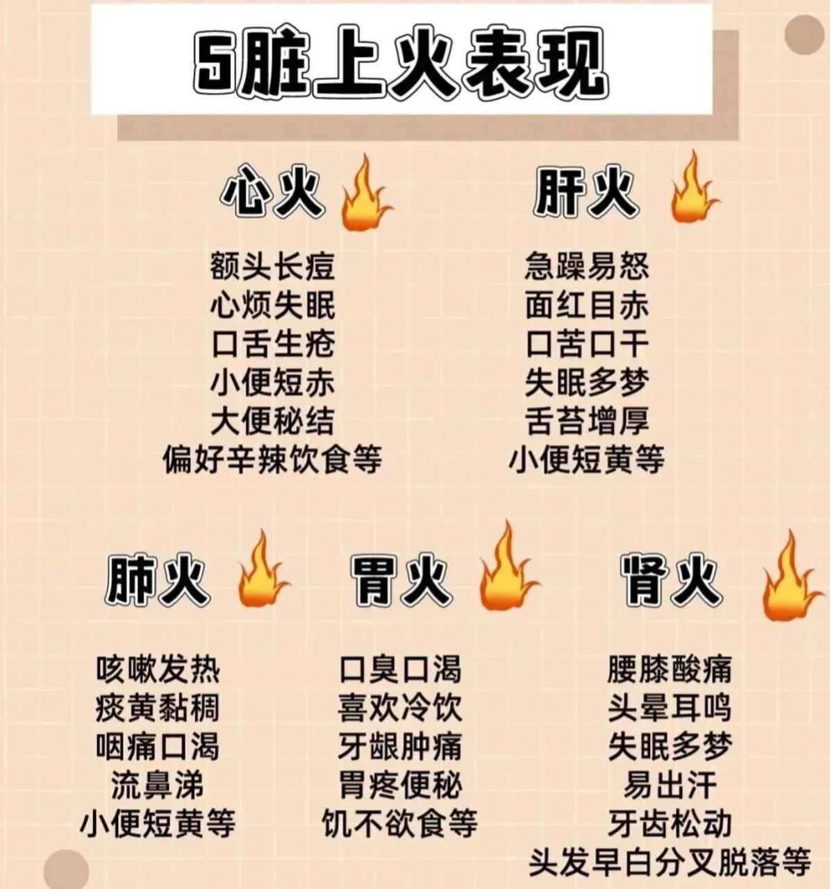 五脏六腑寒热及表里 心与小肠相络属,其华在面,其充在血脉,开窍于舌