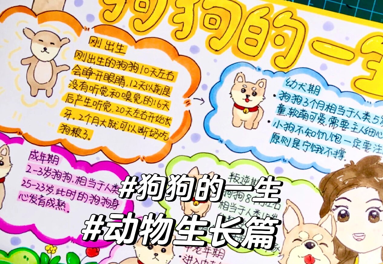 狗狗的一生手抄报 太好看了吧,动物生长笔记,狗狗的一生