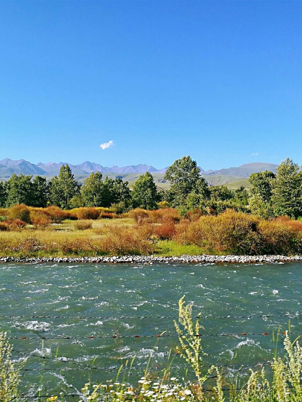 错过那拉提,就错过新疆一半的美 那拉提草原是世界四大亚高山草甸植物