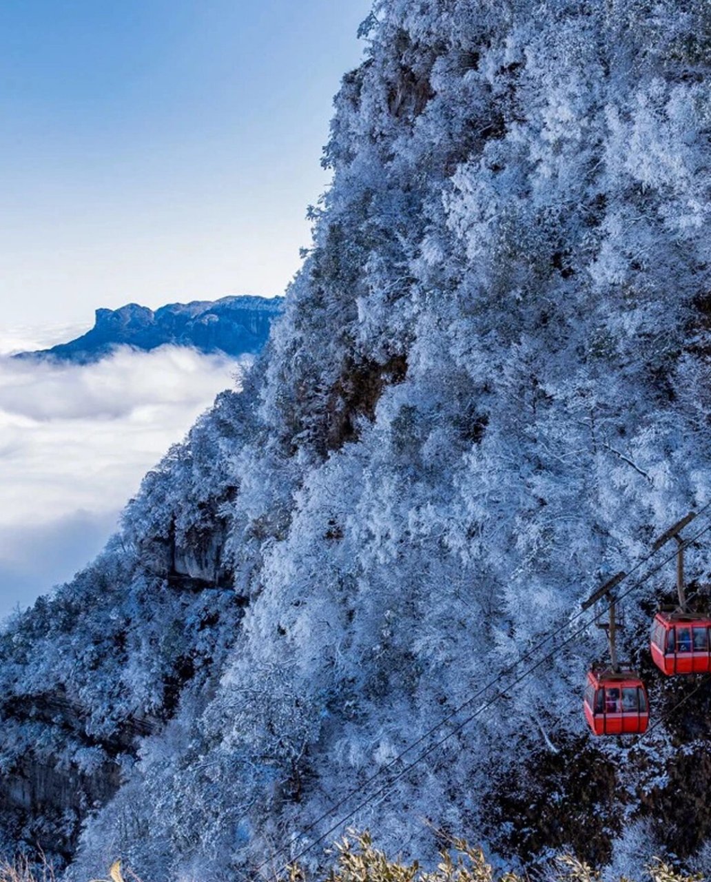 南川金佛山下雪图片