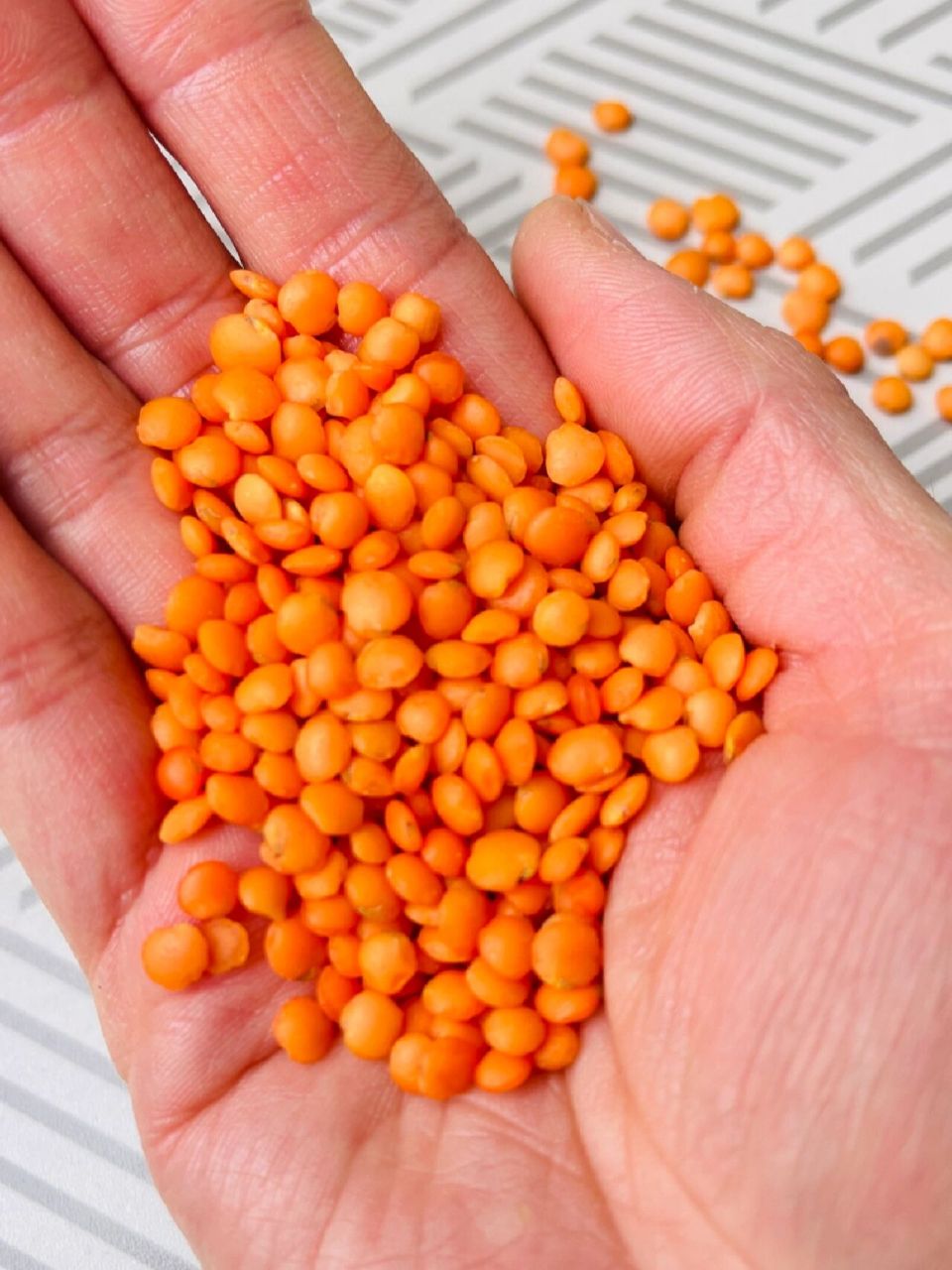 红扁豆竟是养生高手,营养不输牛肉,真的吗 我经常买各种各样的豆用来