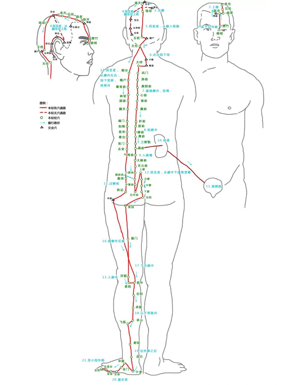 督脉(诸阳之会)循行路线图 寻找压痛点,然后灸之效果还真不错,无为灸