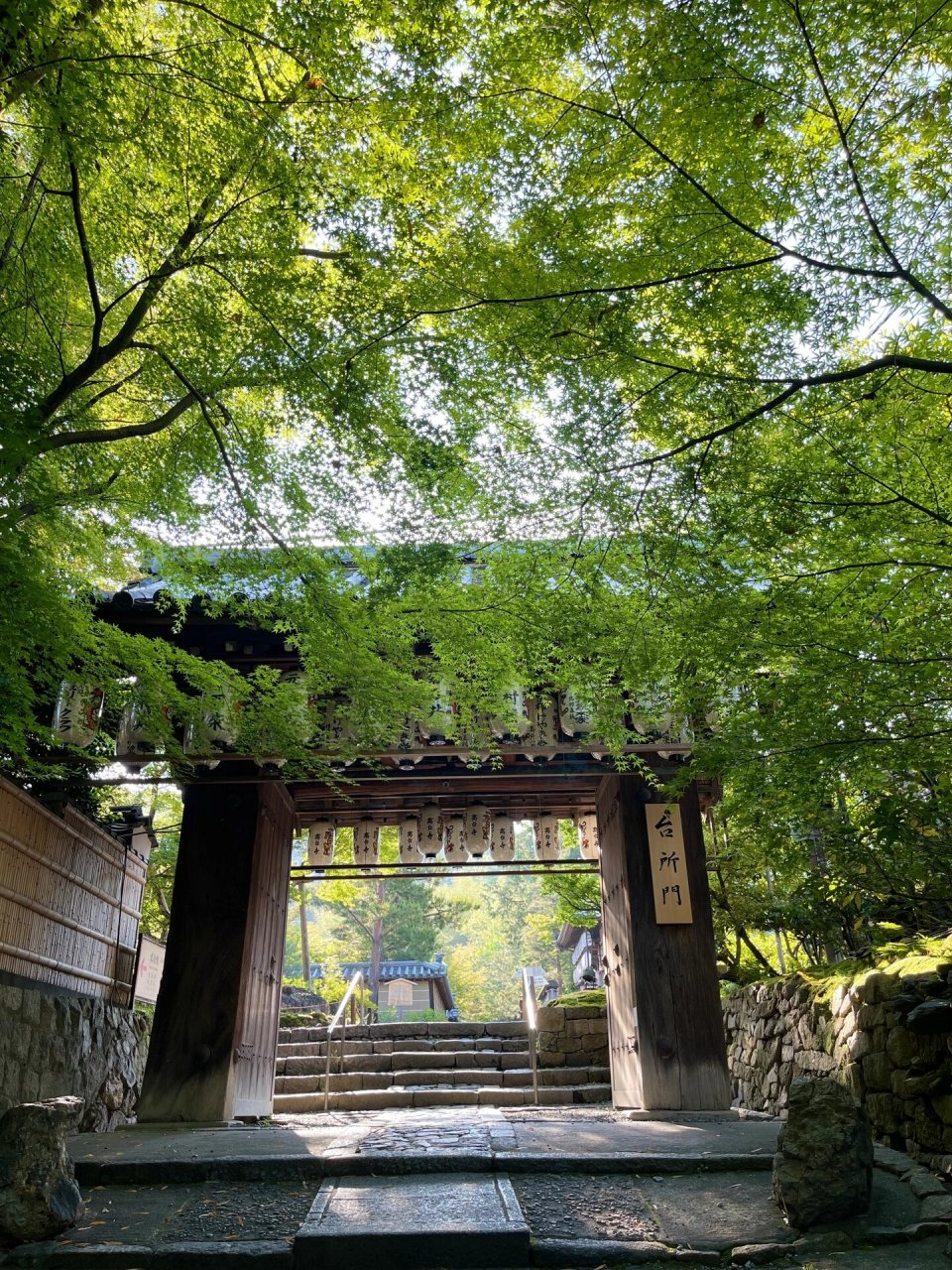 京都京都府高台寺图片