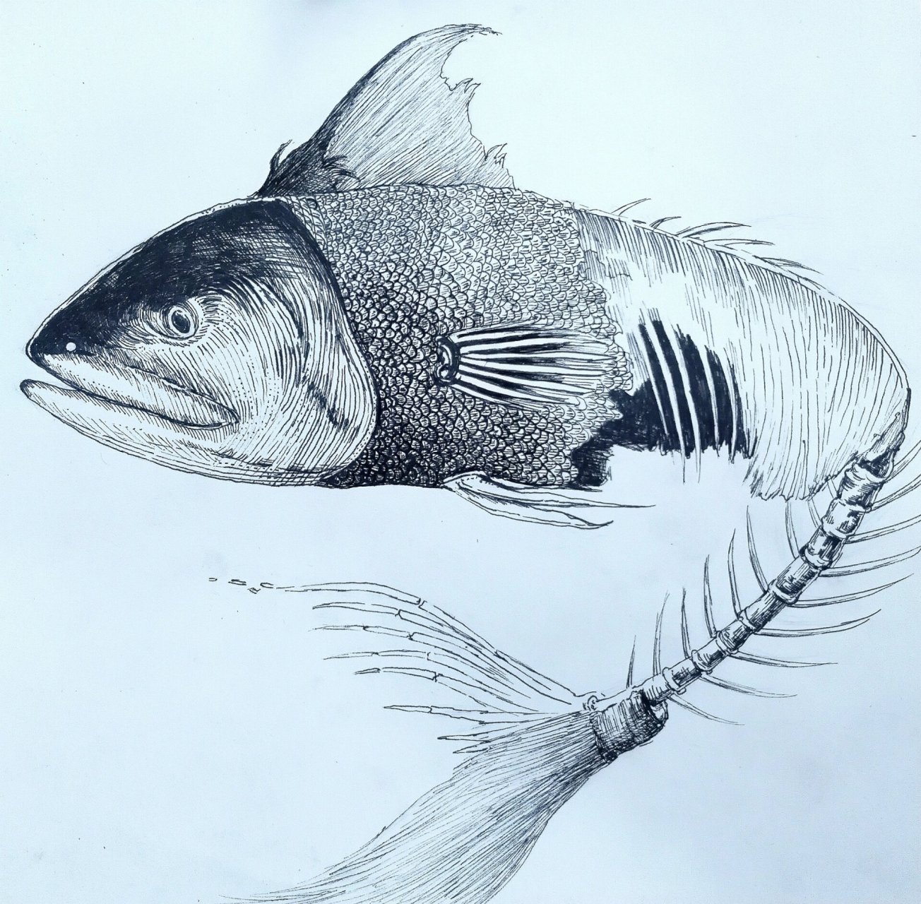 渐变构成作业 从一活到烂到骨头