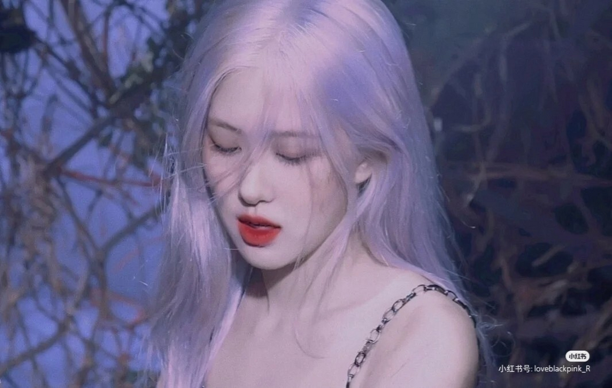 blackpink 全员绝美图片