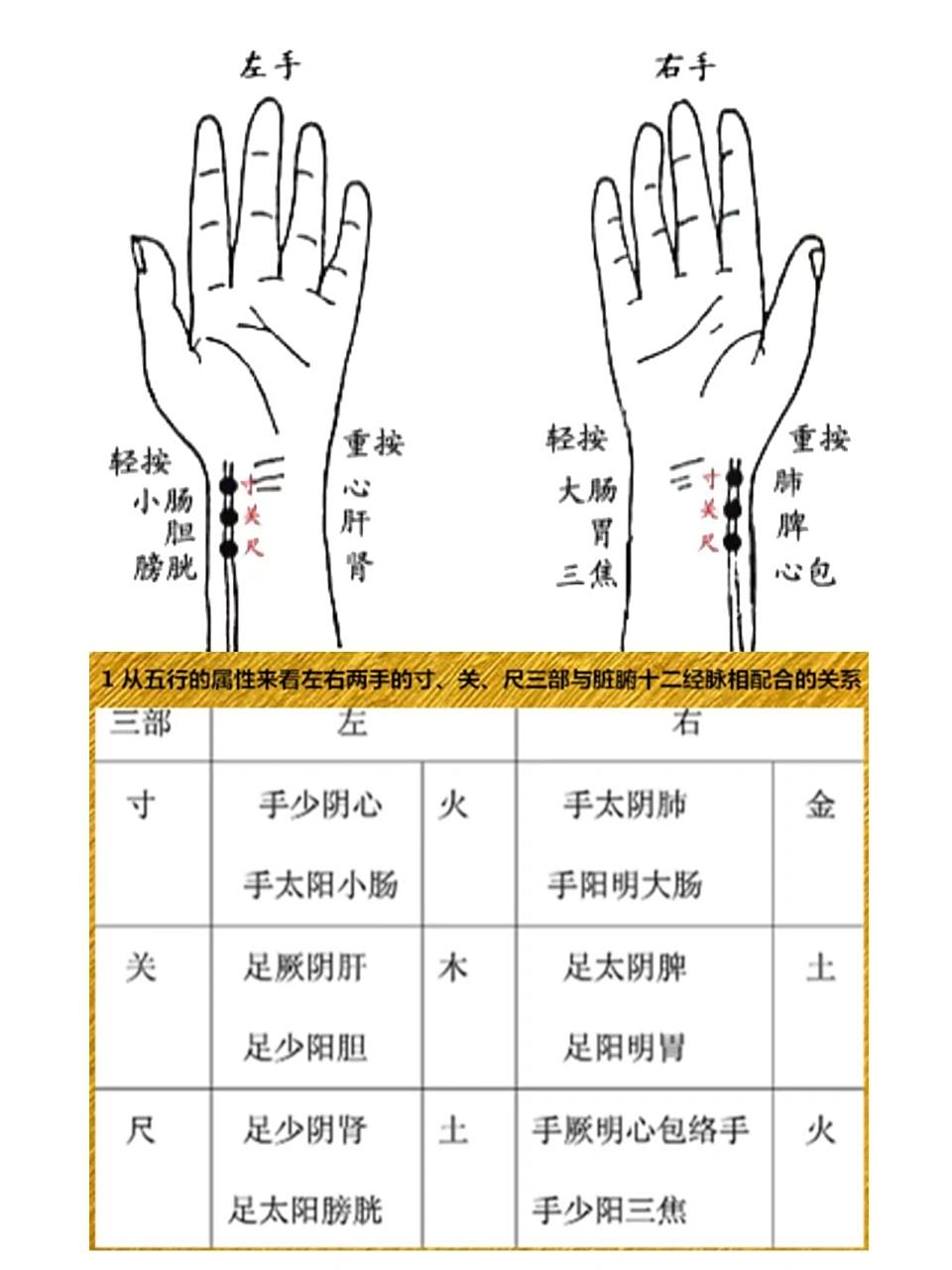 中医切脉有多神奇,寸关尺怎么分? 71如何把脉?