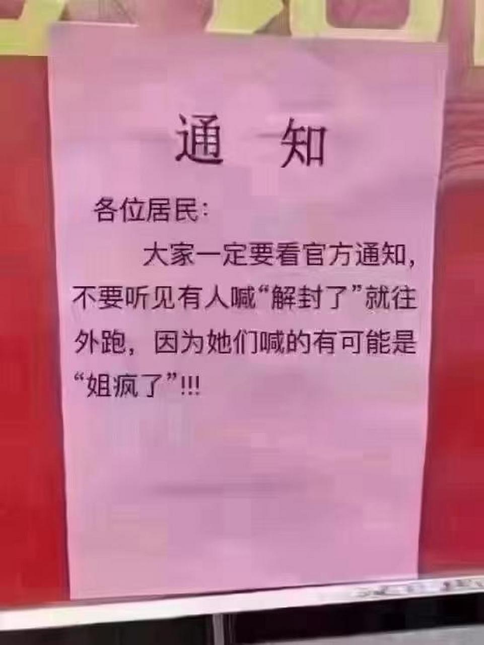 解封了 姐疯了图片