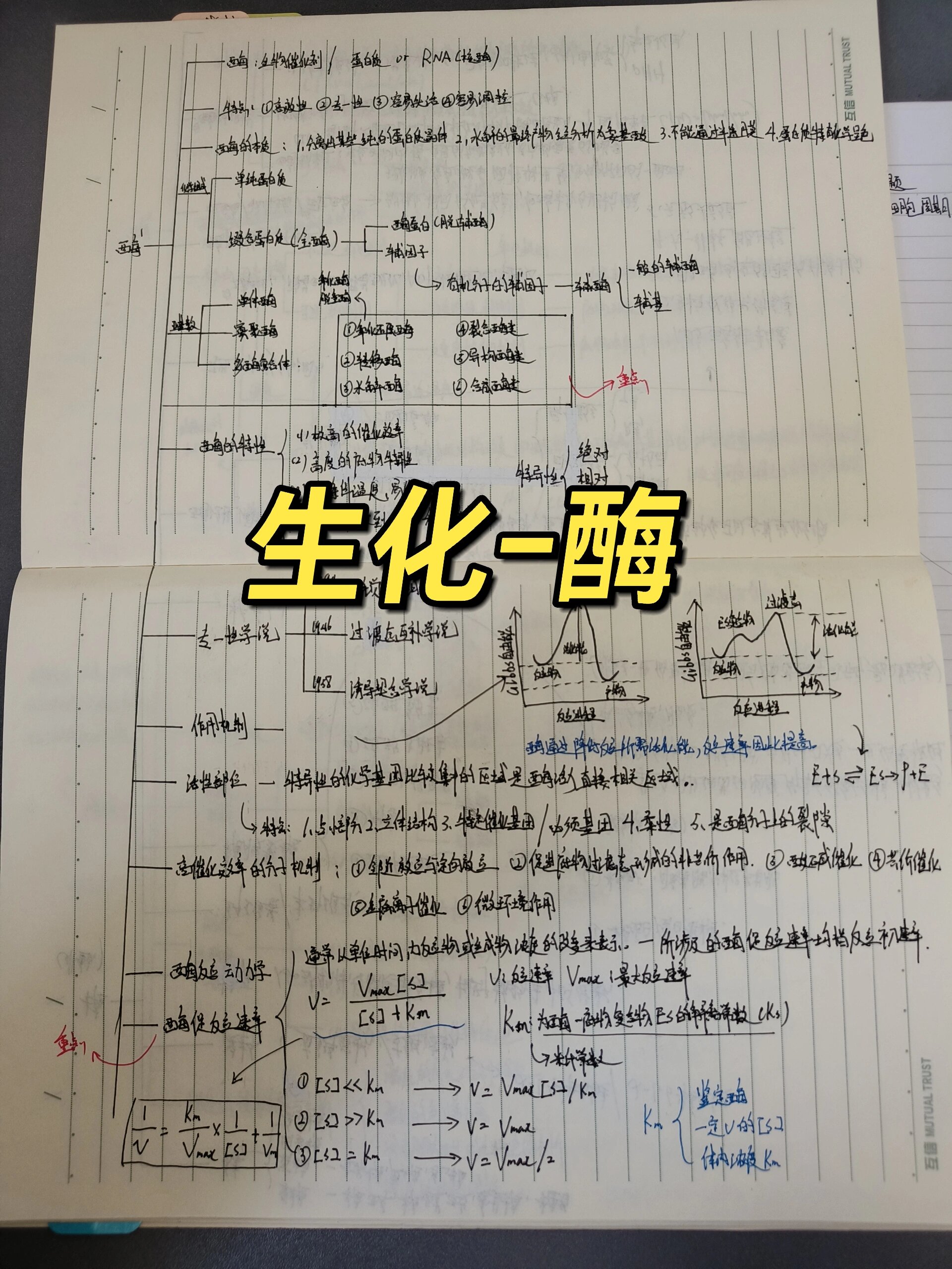 酶-生化思维导图