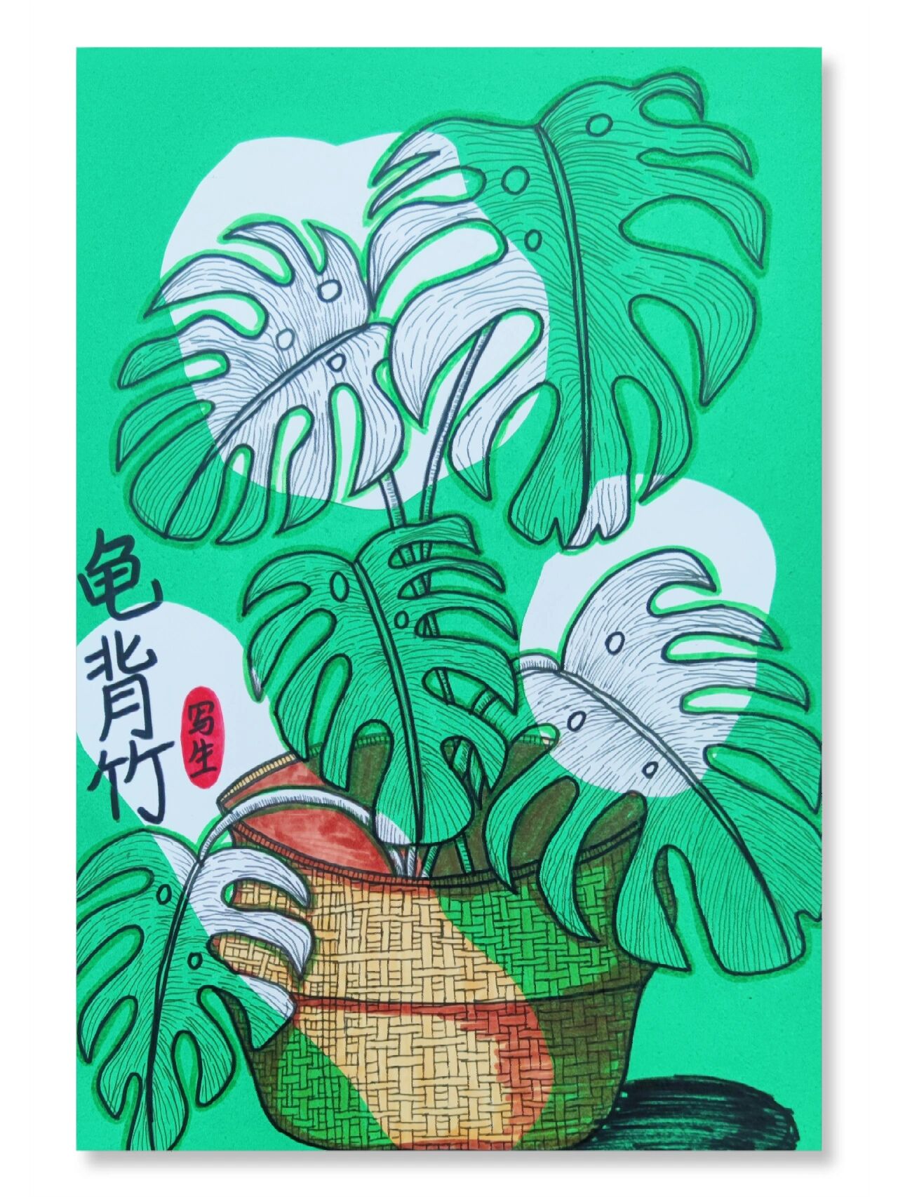 t5《线描龟背竹》7-8岁创意美术写生线描
