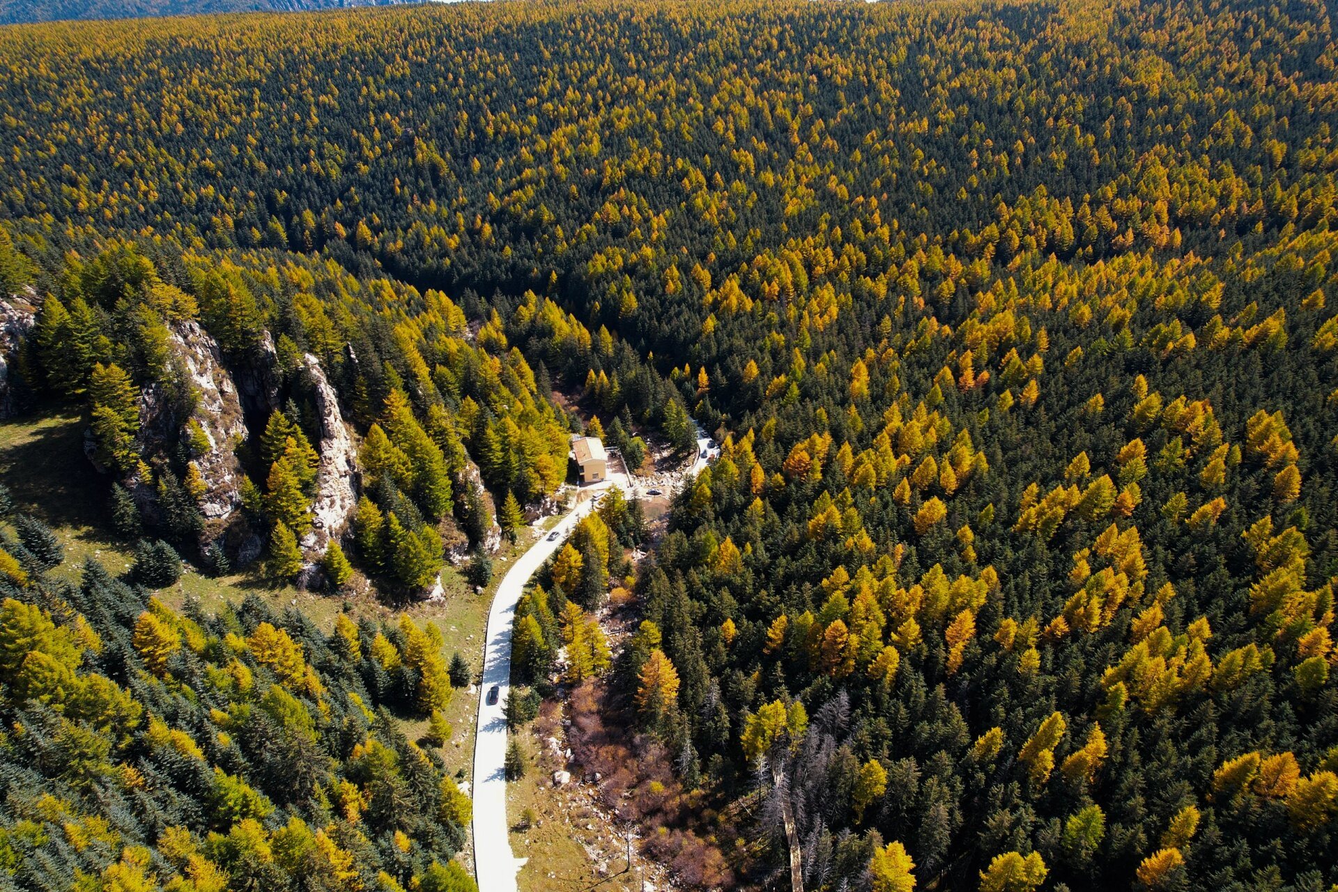 荷叶坪只能自驾去 从宁武导航到荷叶坪一路会经过芦芽山 路上的风景
