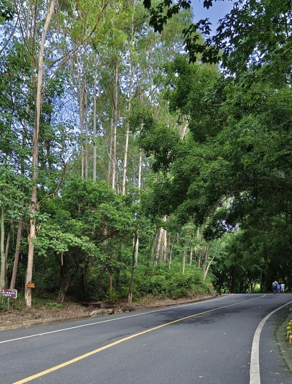 江门鹤山|大雁山森林公园 99地点: 江门市鹤山市沙坪街道大雁山风景