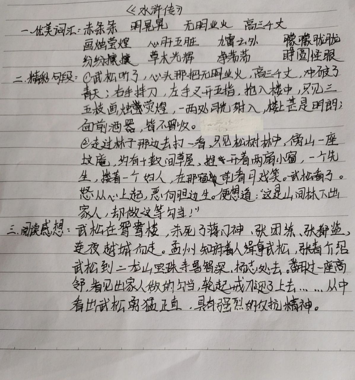 水浒传第三十一回读书笔记 第31回:张都监血溅鸳鸯楼,武#行者夜走