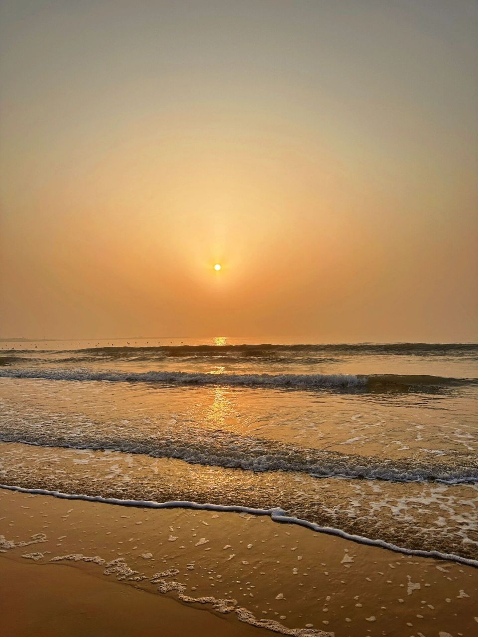 日照 山海天阳光海岸93 在这里看到了心心念念的日出 可惜天气还是