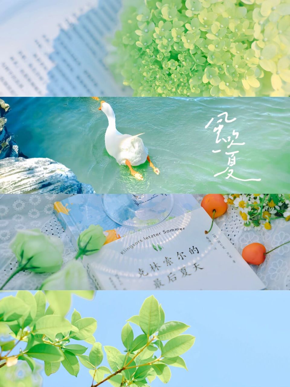 手机调色95日系清新薄荷绿61夏天户外必备 95 hi 今天分享的