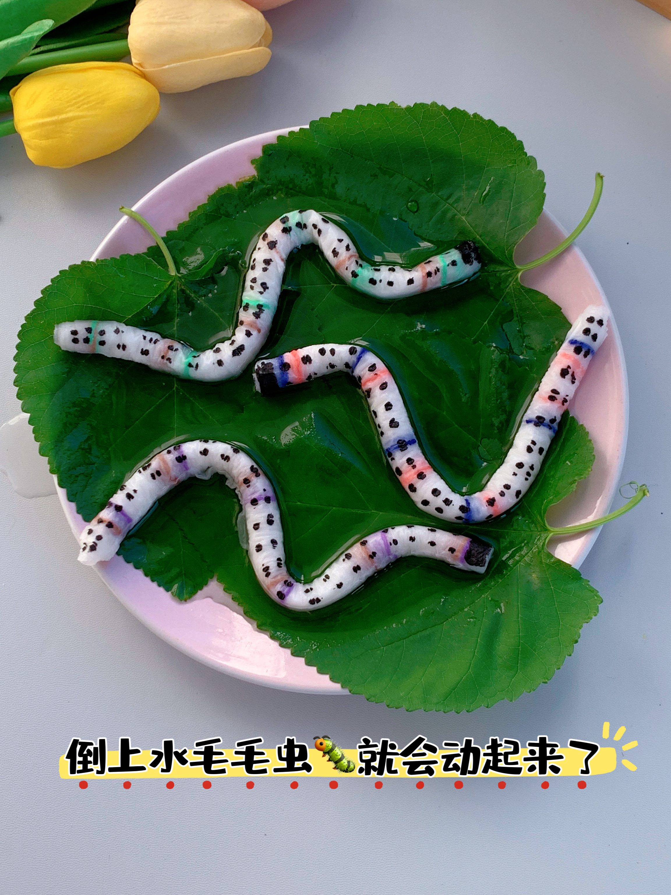 用纸巾做一个会动,还会变色的毛毛虫,简单
