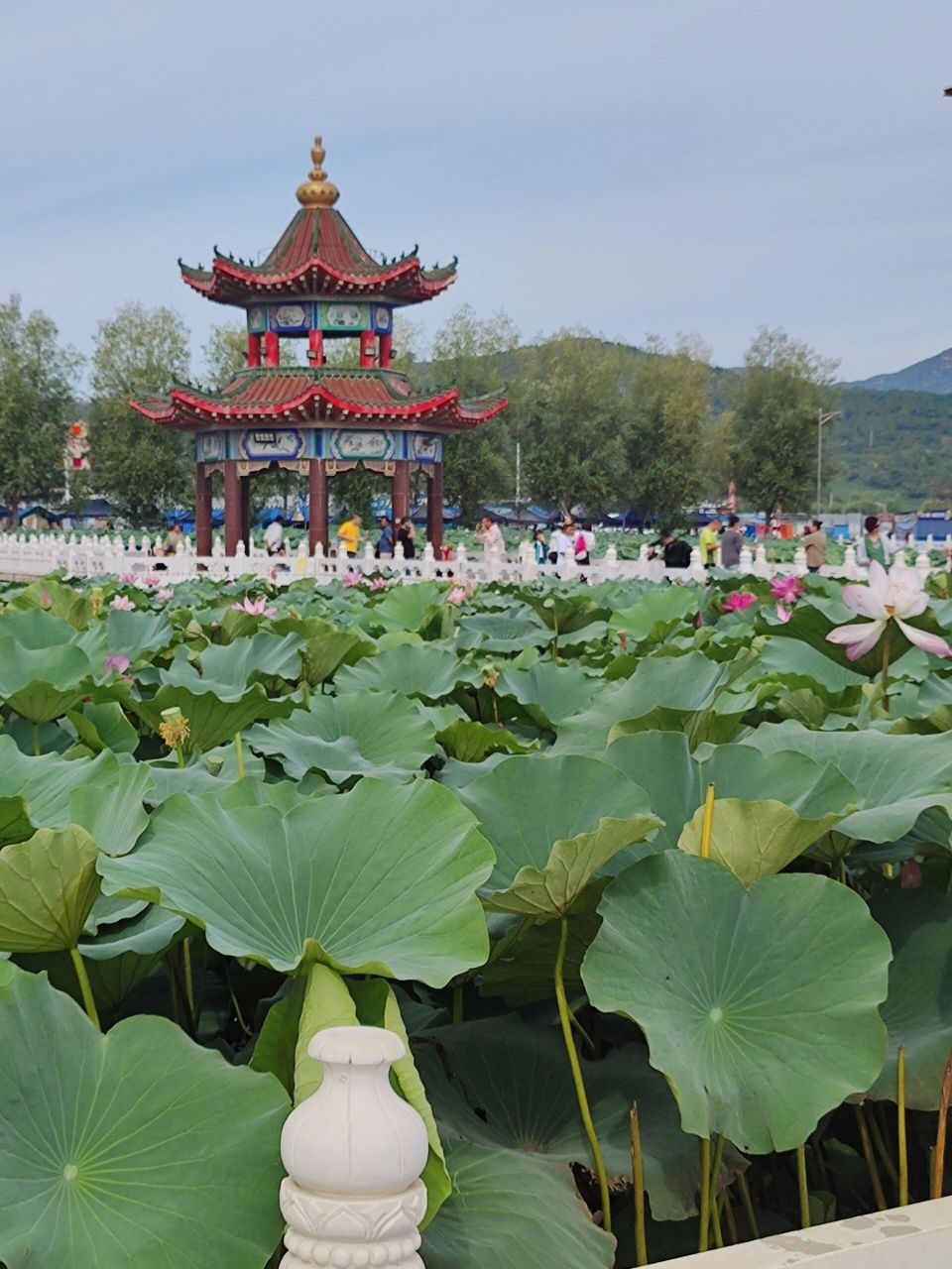 辽宁锦州丨凌海九华山公园丨小布达拉宫75 门票99:免票,游乐园