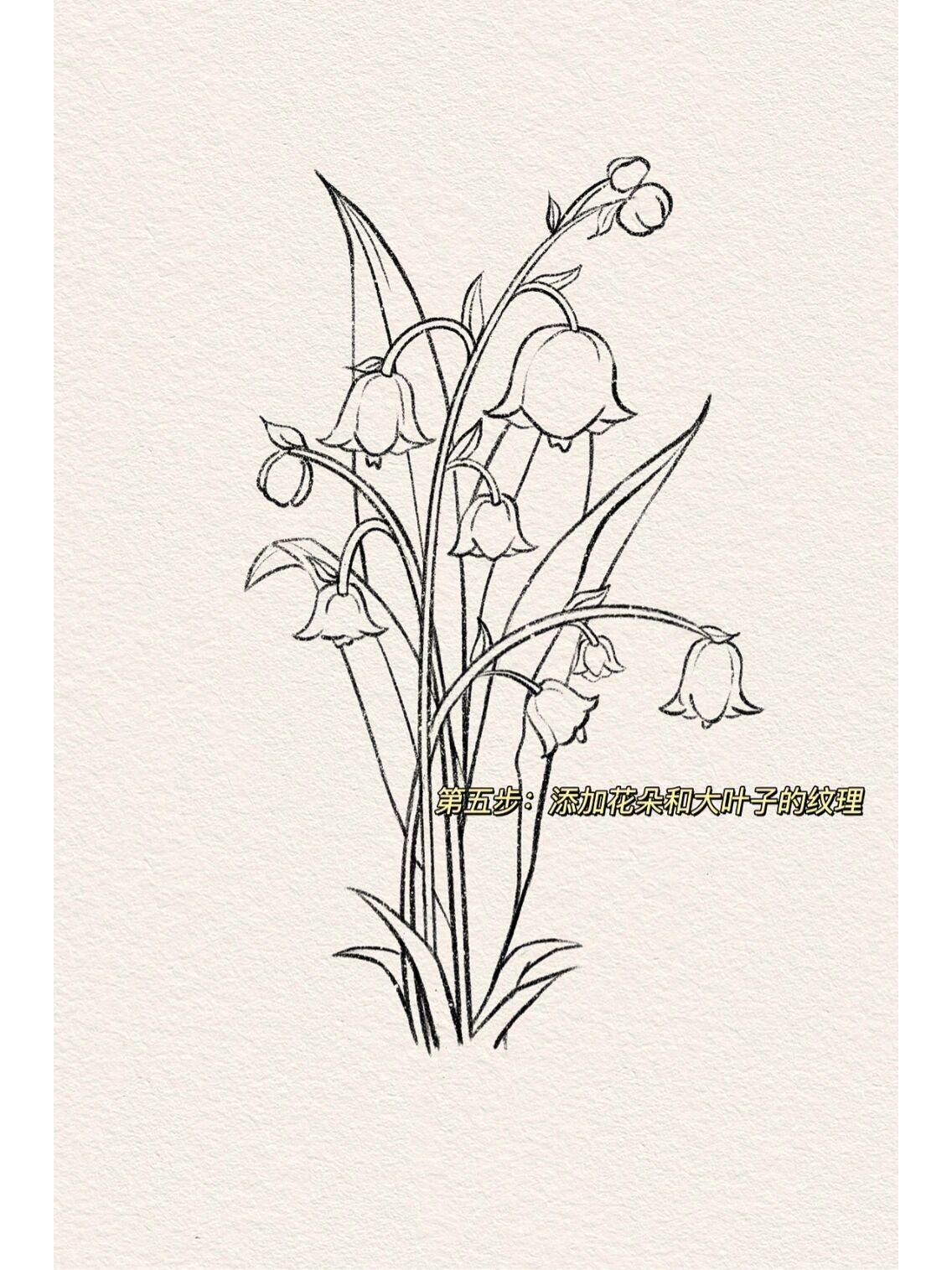 简单5步95学会画风铃花