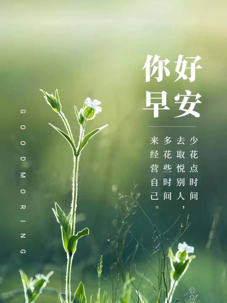 早安心语|早安发朋友圈海报图片 781560686069.