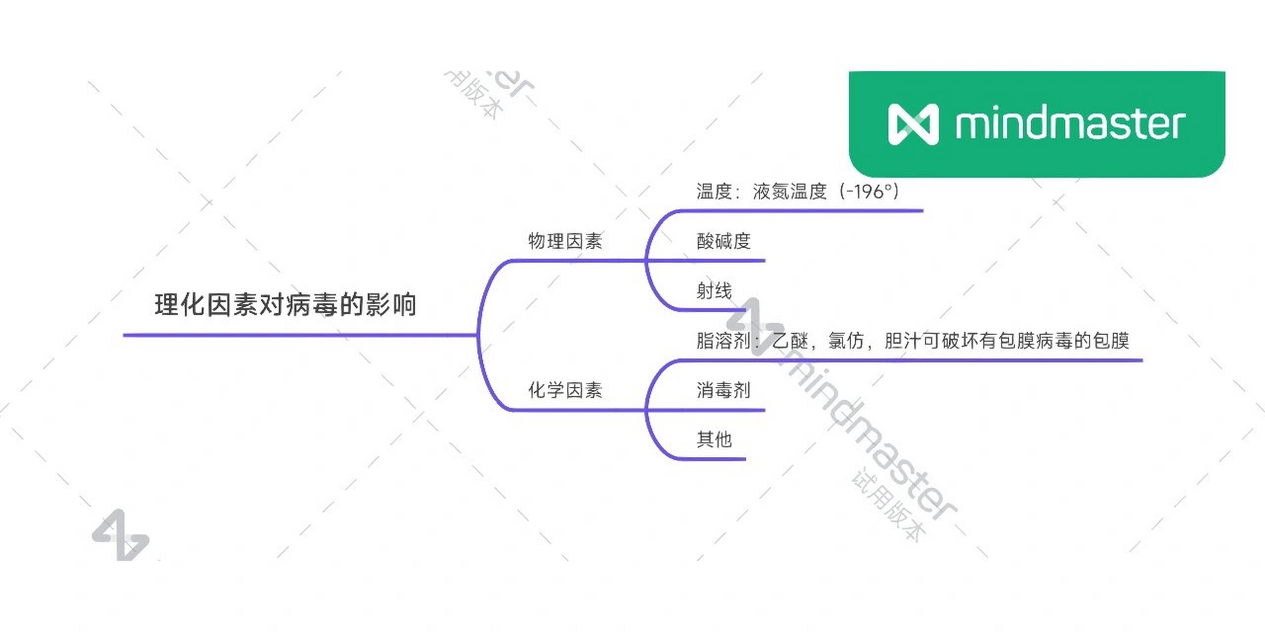 抗疫病毒的思维导图图片