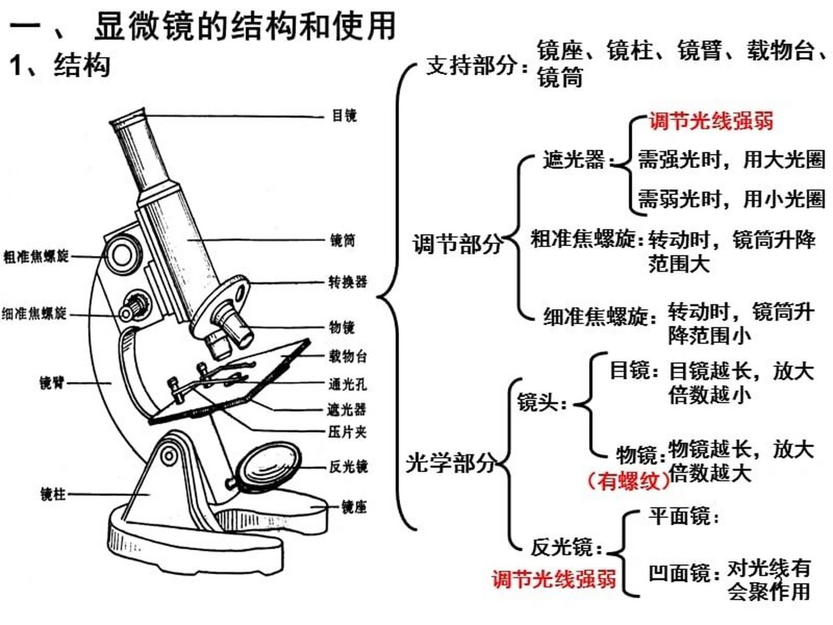六上科学#显微镜的结构与功能