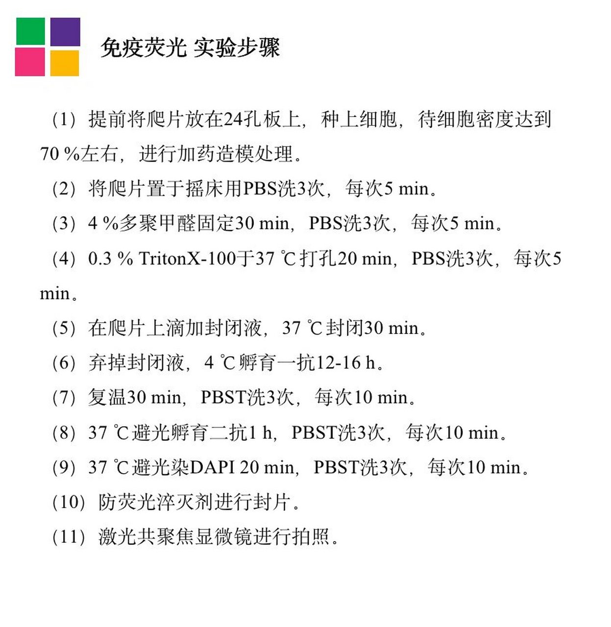 组织切片免疫荧光步骤图片