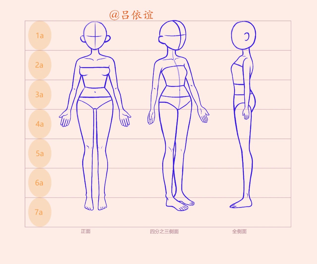美少女插画 人体三视图 线稿