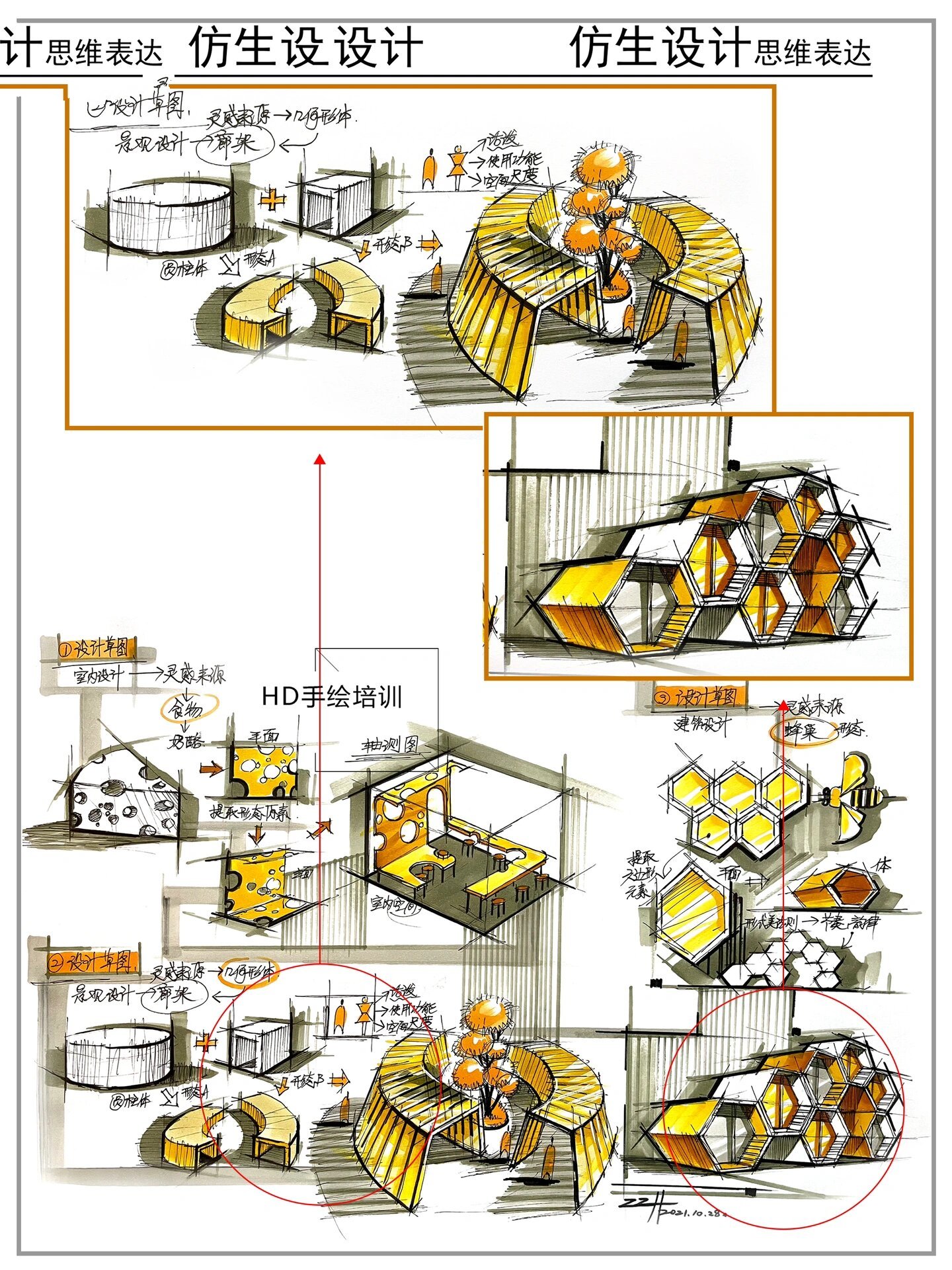 仿生设计作品 手绘图图片