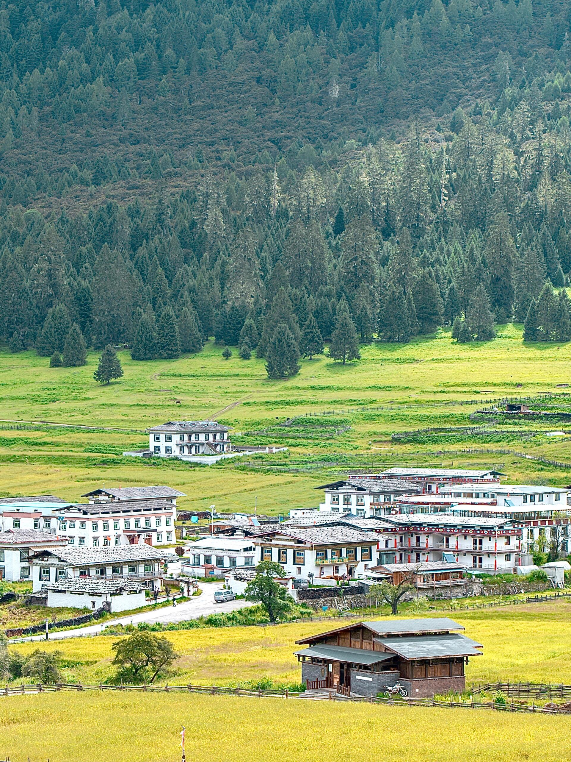 鲁朗扎西岗村‖油画里的小镇