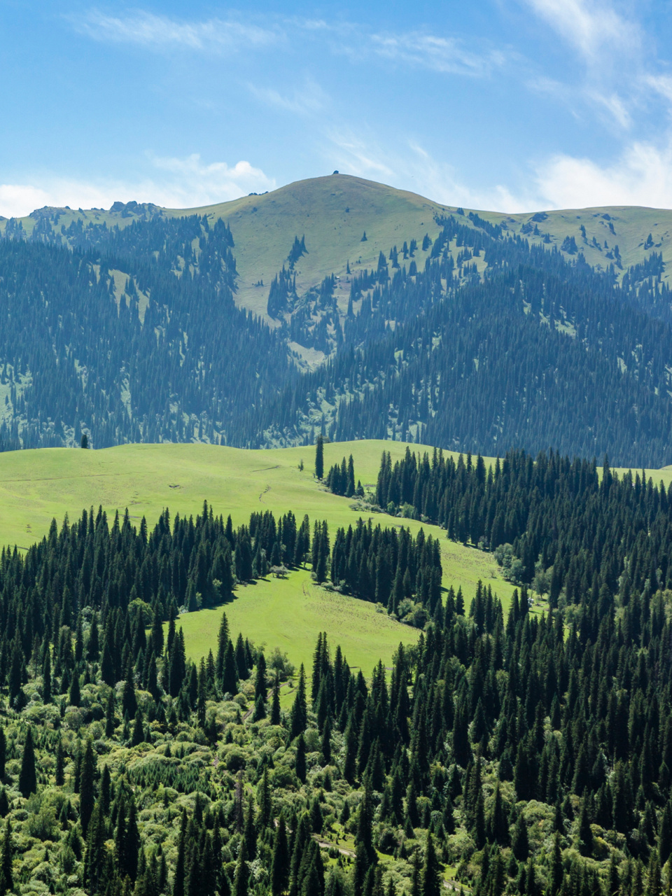 中国国家地理 | 国家森林公园,就在你身边 今天是植树节,地理君就带