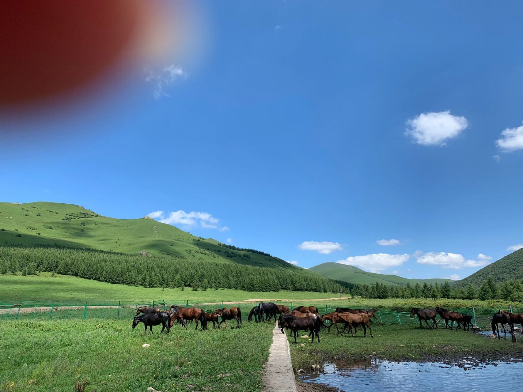 丰宁坝上草原大滩镇 这次的坝上之旅太满意了,我们没有去收费的景区