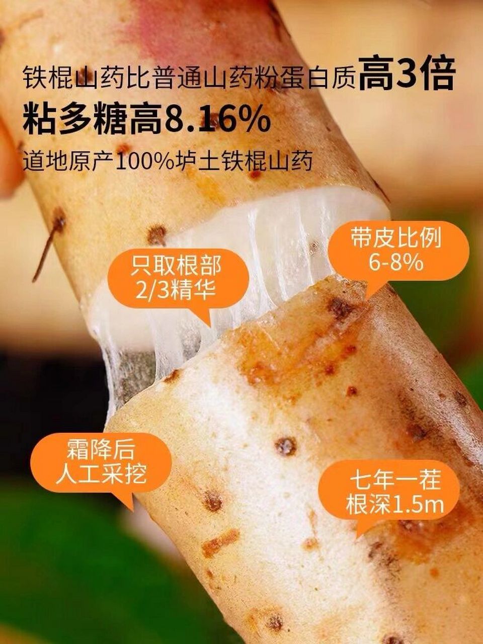 铁棍山药的功效与作用图片