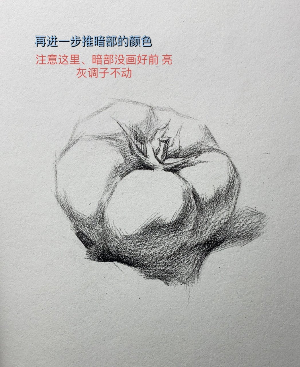 素描单体-西红柿怎么画-超详细步骤图分解 详情入内,每张都有图解 有