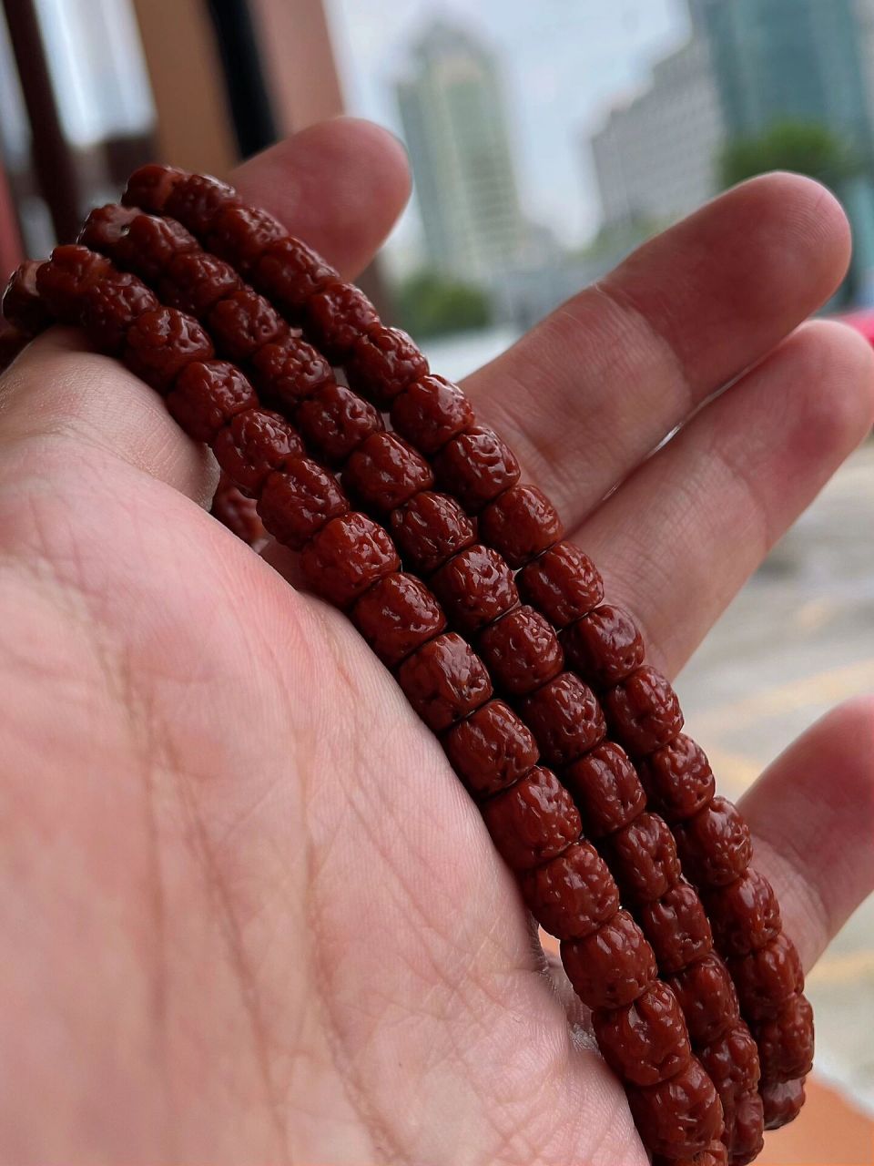 浅谈盘玩佛手小金刚的方法 11566 佛手盘在手心用纳米刷干刷一个