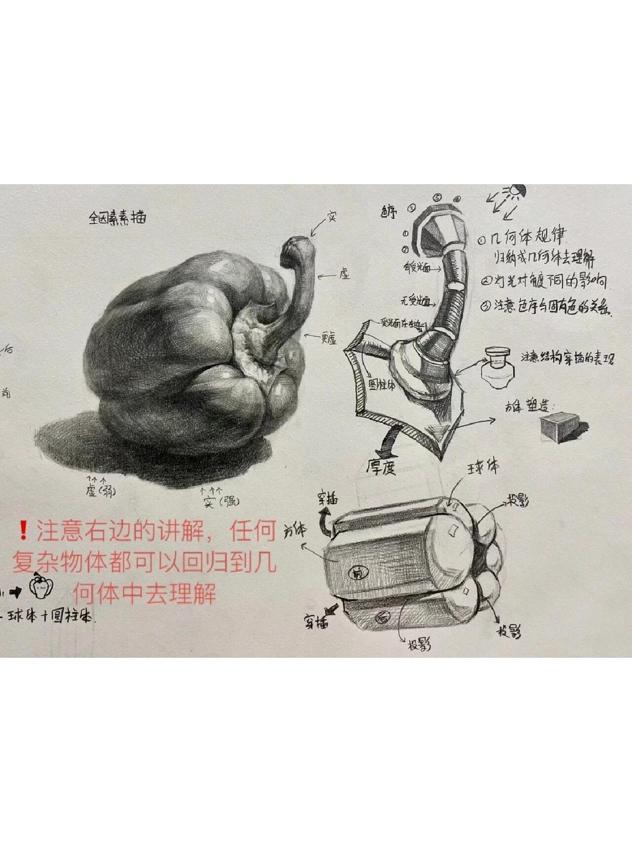 青椒素描画法步骤图片