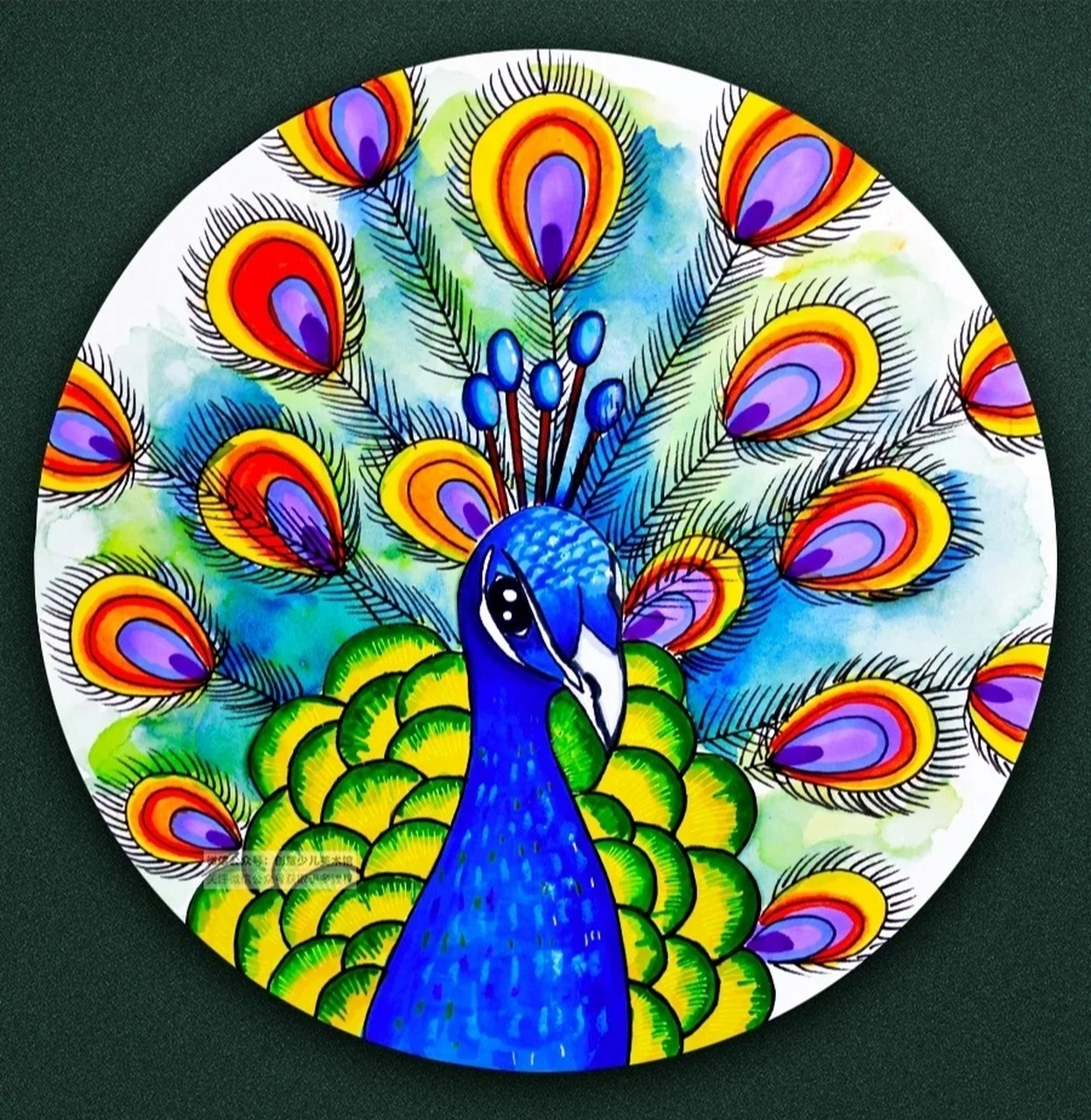 儿童画教程|百禽之首七彩孔雀 教学重难点 1.