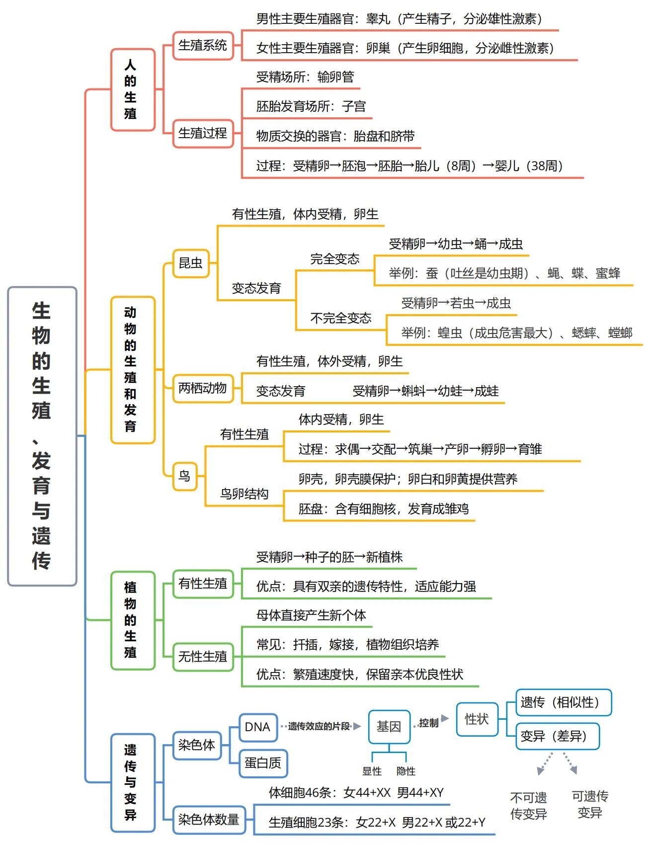 遗传和生殖思维导图图片